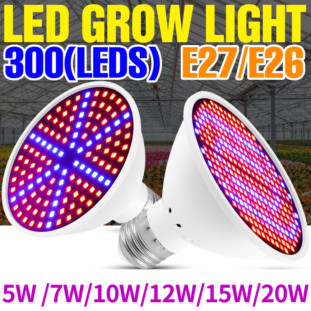 Echeveria Succulent - 25W E27 Vollspektrum-LED-Pflanzenwachstumslampe 220V Füllleuchte für