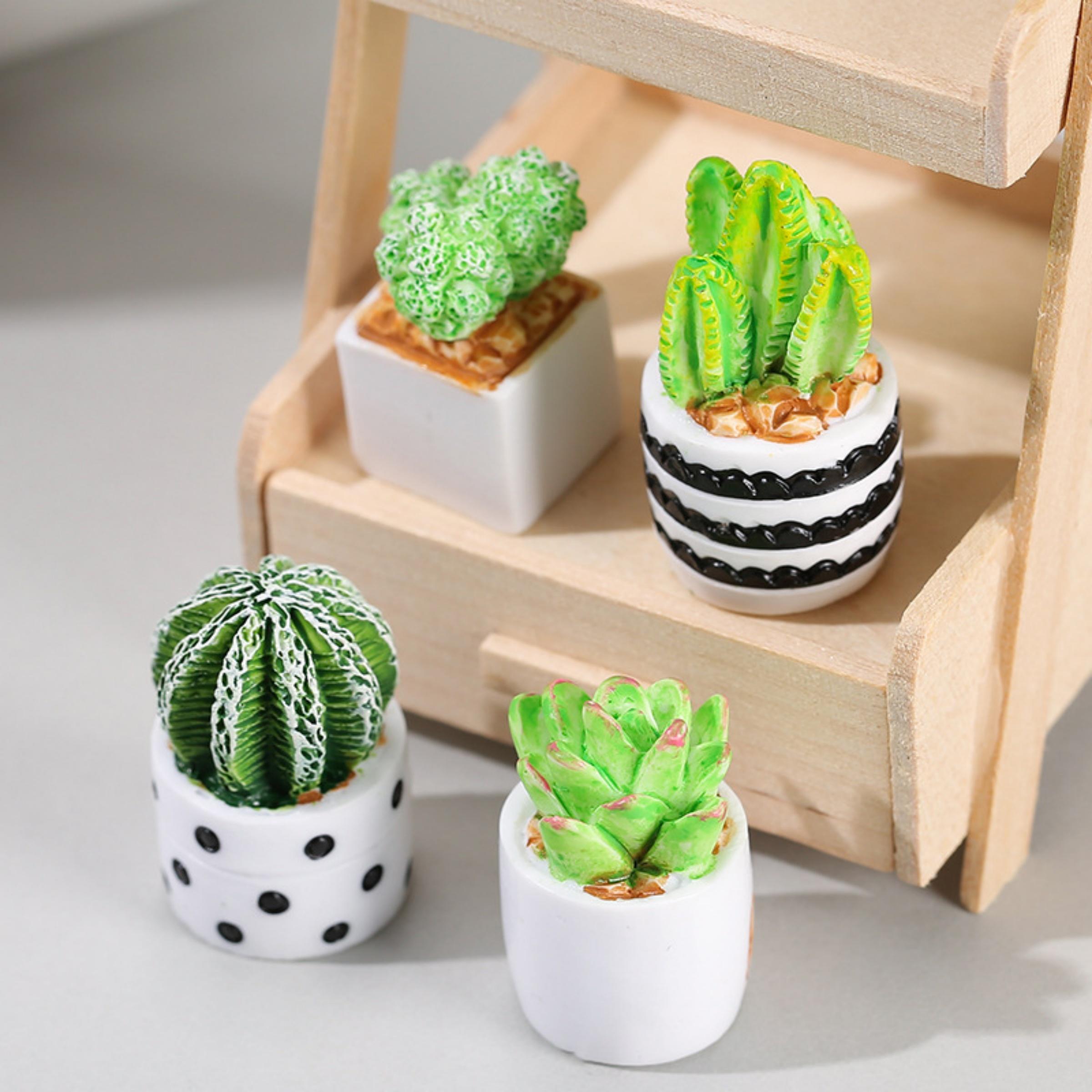 Echeveria Succulent - 4-teiliges Set aus Kaktus-Sukkulenten-Pflanzen im Topf,