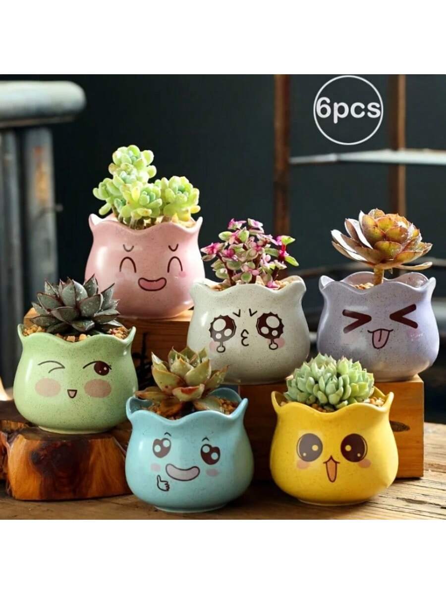 6 Stück/Set Cartoon Niedliche  – Echeveria Succulent Bewertung und Preis