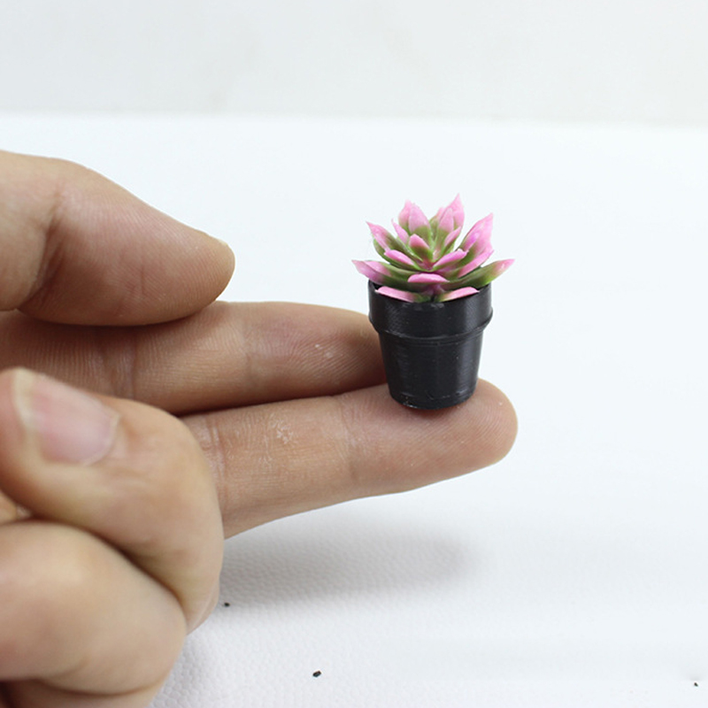 8 Stück Miniatur-Kunststofftop – Echeveria Succulent Bewertung und Preis